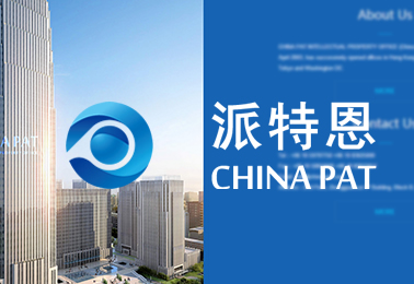 北京派特恩知識產(chǎn)權代理有限公司