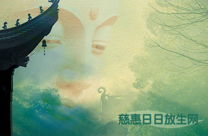 慈惠日日放生網(wǎng)