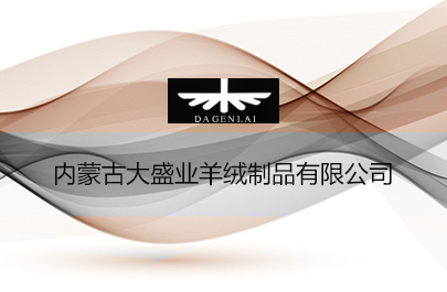 內(nèi)蒙古大盛業(yè)羊絨制品有限公司